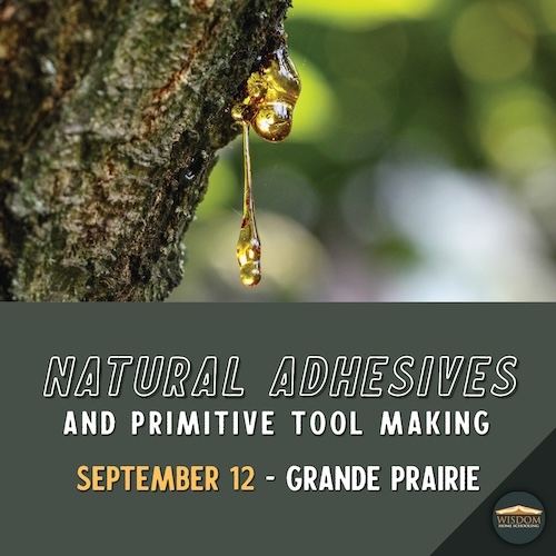 Survival: Natural Adhesives and Primitive Tool Making - Grande Prairie